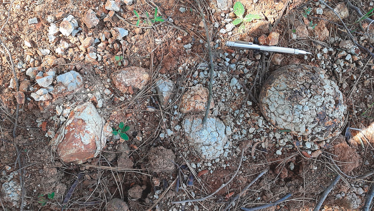 Trabajo en terreno 1