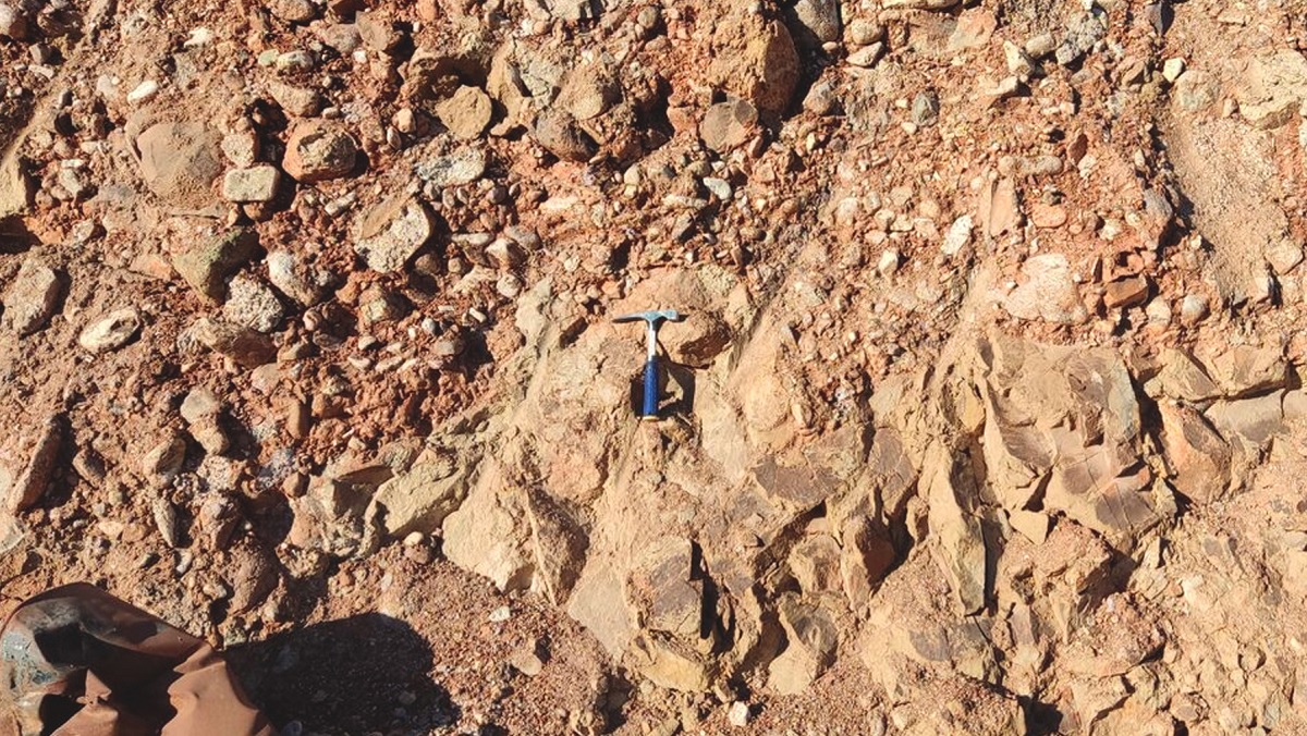 Trabajo en terreno 11