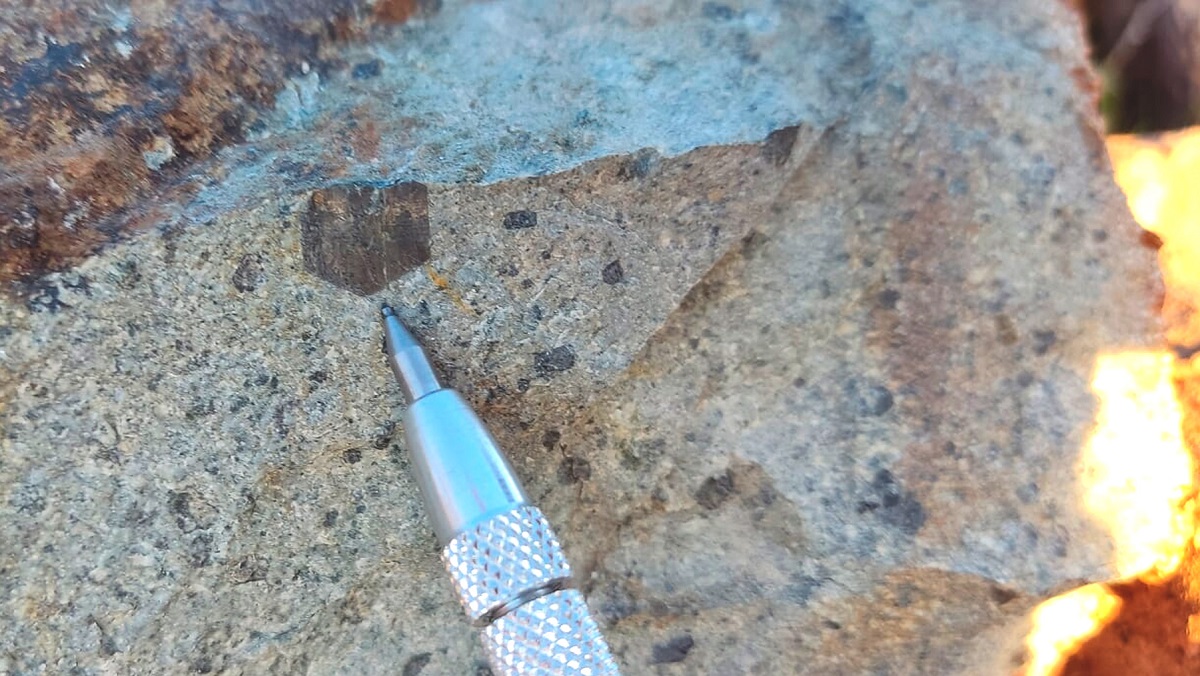 Trabajo en terreno 12