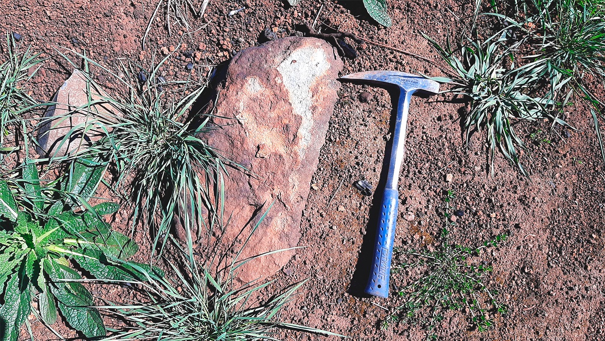 Trabajo en terreno 2