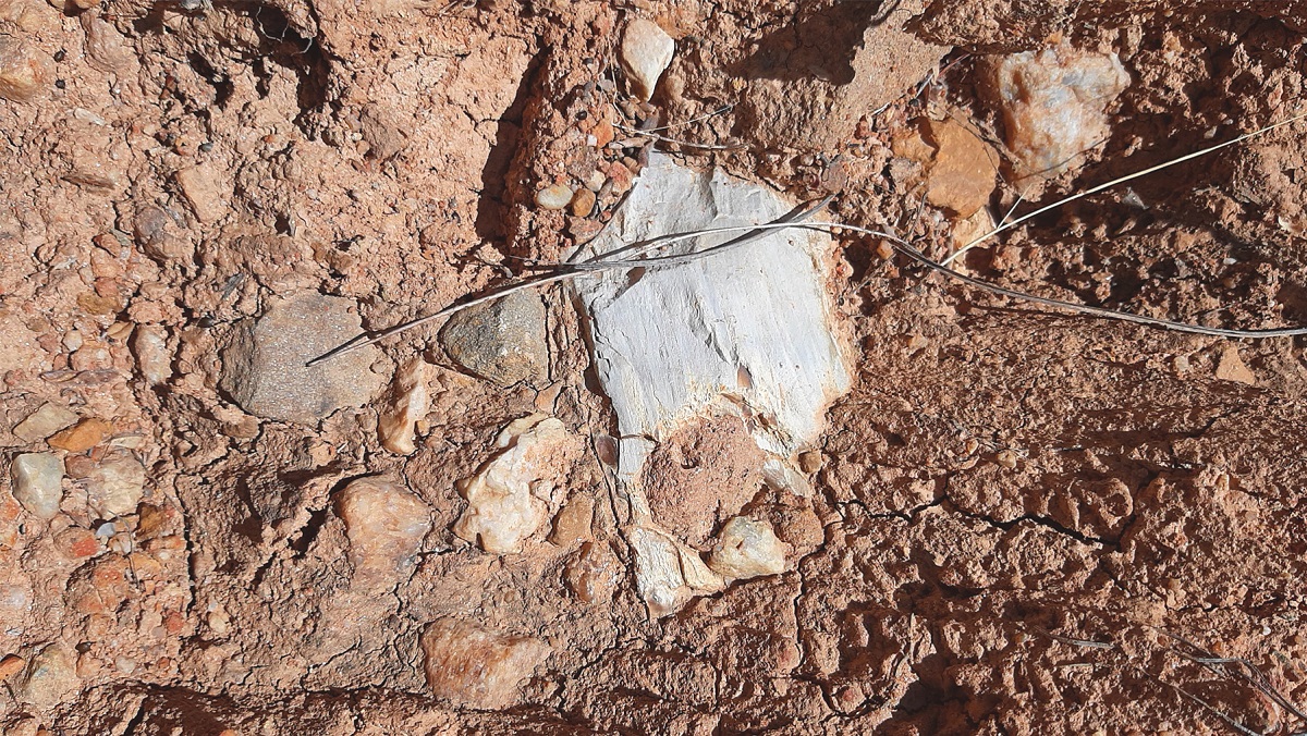 Trabajo en terreno 5