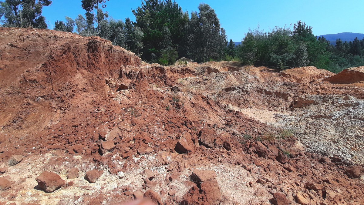 Trabajo en terreno 7